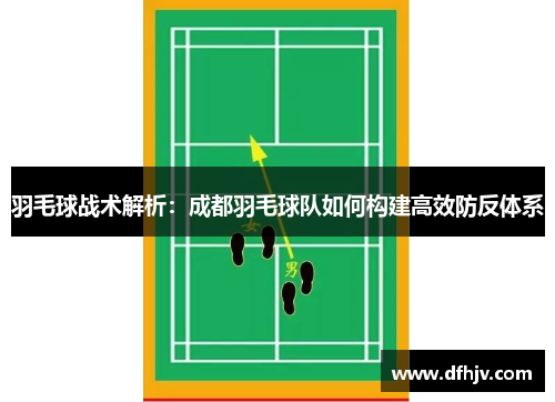 羽毛球战术解析：成都羽毛球队如何构建高效防反体系