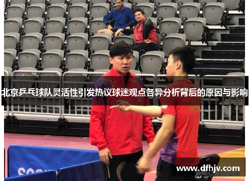 北京乒乓球队灵活性引发热议球迷观点各异分析背后的原因与影响